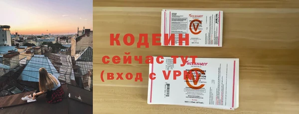 эйфоретик Арсеньев