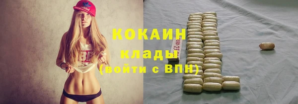 эйфоретик Арсеньев