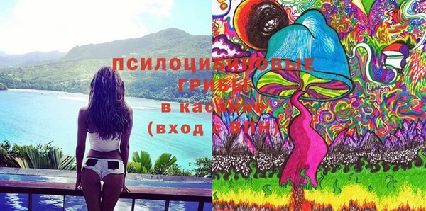 эйфоретик Арсеньев