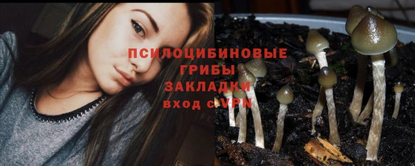 ПСИЛОЦИБИНОВЫЕ ГРИБЫ Армянск
